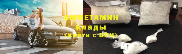 твердый Козельск