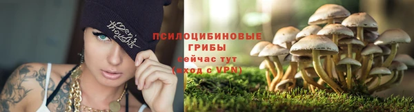 твердый Козельск