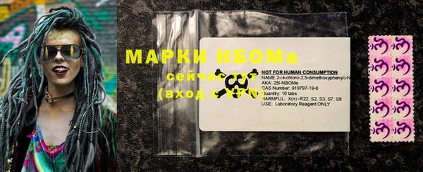 твердый Козельск