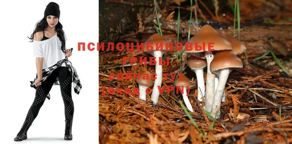 прущая мука Кодинск