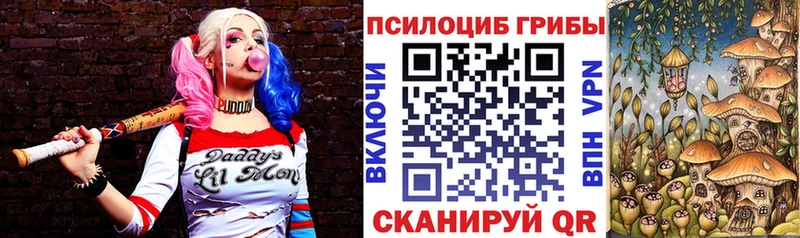 blacksprut маркетплейс  Староминская  Псилоцибиновые грибы Psilocybine cubensis  где продают наркотики 